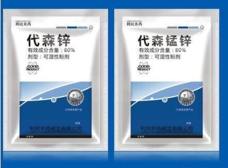 月季黑斑，让人头疼的病