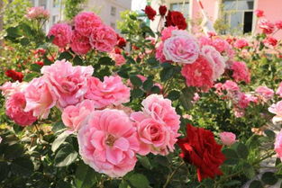 通风降温小技巧