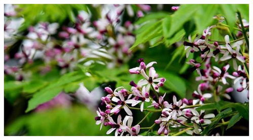 记住这三个要命的时间点：