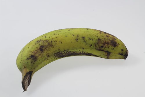 药物治疗， 三选一