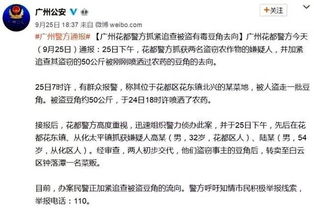 第三步：寻求律法帮助