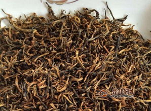 金骏眉茶叶应该如何保存才能延长保质期