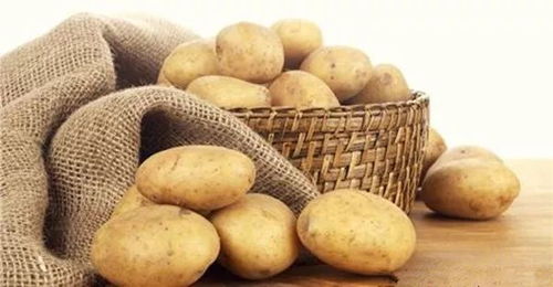 三环唑， 水稻的“老朋友”