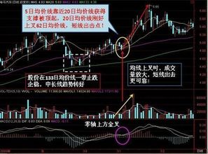 代维斯巴甲集锦高清解析：揭秘那些炫酷技巧