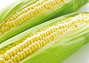 李先生给玉米喷打苗后的经验分享