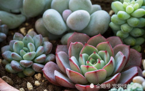 误区四：夏天不需要通风