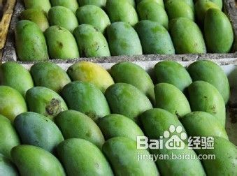 芒果种子营养大揭秘，种植养护指南！