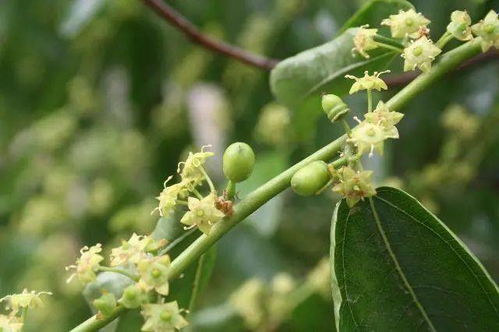 影响价格波动的因素