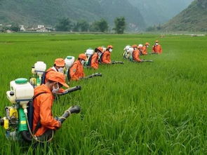 混用要讲究方法，不Neng乱来