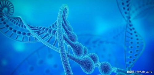 陕西汉中农户的智慧：农药用量减少， 效果却翻倍