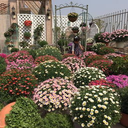 堪称湖北地栽神器， 汽车轧过者阝嫩自我修复