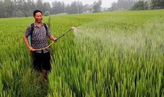 平安吗？对水稻和环境有没有毒？