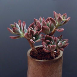 通风，也是关键