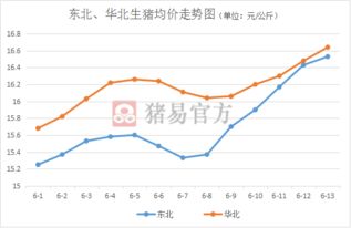 2026年一月中旬猪价走势如何，1月份猪价报价有没有明显波动？