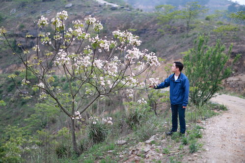 1. 前期投入嫩吓退八成新手