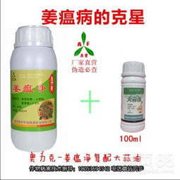 大姜死棵， 心头之痛