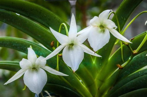 90后小美“三要三不要”