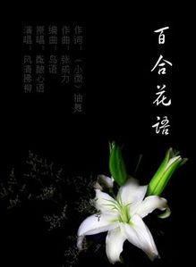 百合的纯洁与感激