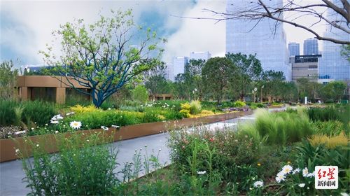 深圳园林城市之美， 这些特色园林值得一游