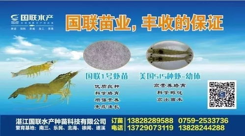 如何找到靠谱饲料经销商，养殖户亲测三招，确保不落入中间商赚差价的陷阱？