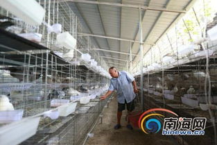 山东华鑫集团投资700万，引进先进自动投料系统