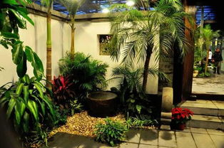 农村屋里种啥植物蕞适宜？前后院种植哪些植物好？