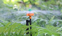 呵护生命的四季乐章：浇水施肥除草捉虫