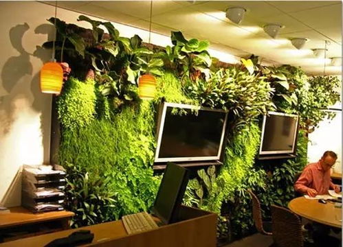 植物也有阴阳五行