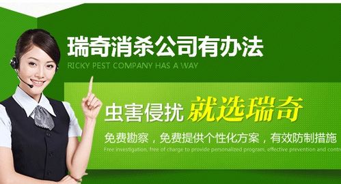吡虫啉能杀哪些害虫？