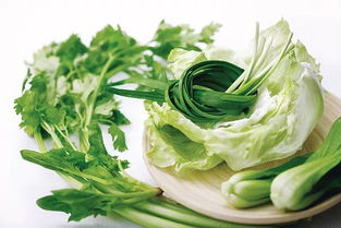 莴苣、 芹菜等对敌草胺较敏感，不宜用敌草胺除草