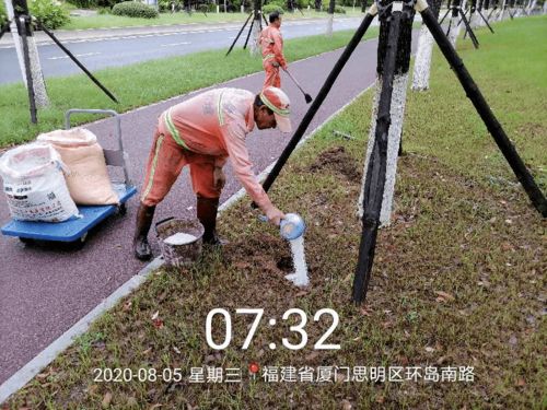 科学施肥盆栽，如何让植物茁壮成长
