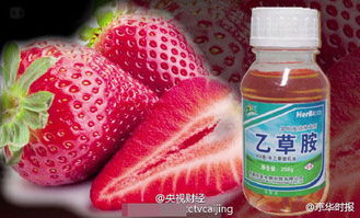 乙草胺的使用注意事项