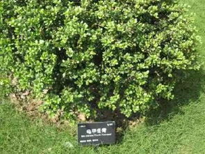 种植季节， 抓住春天的尾巴