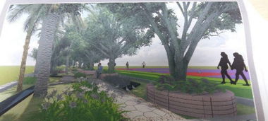 修剪树木， 得讲究时机