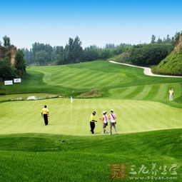 环保又契合岭南特色的竹炭粉