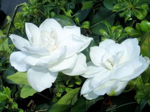 阳光篇：冬天里的温暖阳光