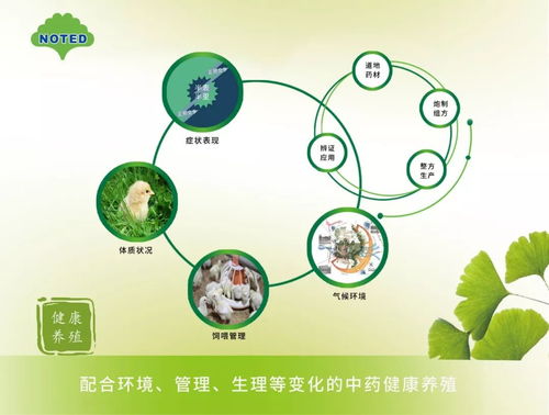 科学饲养，精准管理