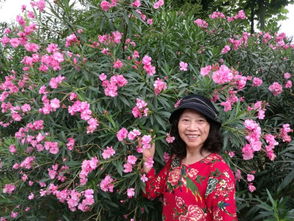 夏至时节，花草树木的盛宴