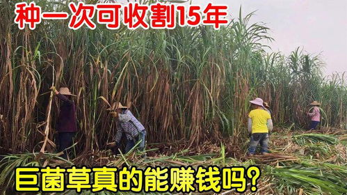 特殊情况的应对