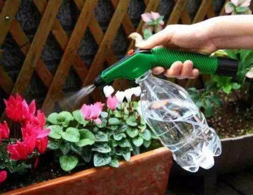 浇水雷区：正午浇水等于开水烫根