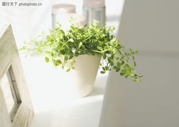 新手购买switch的避坑指南