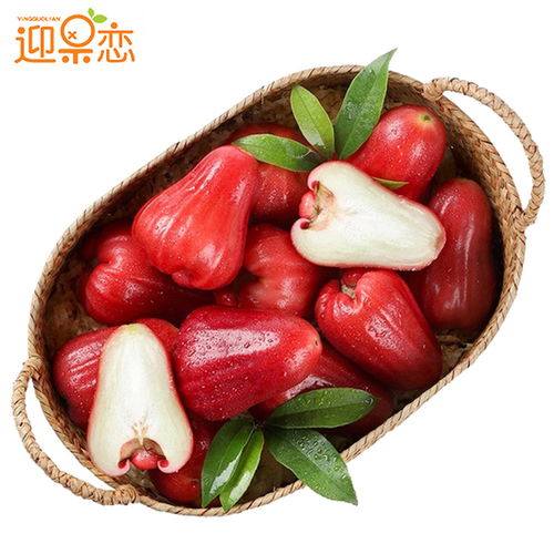 莲雾果富含水分，可清肺火