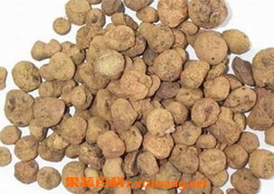 元胡灰霉病是什么？