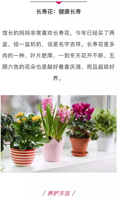 浇水也要堪黄历