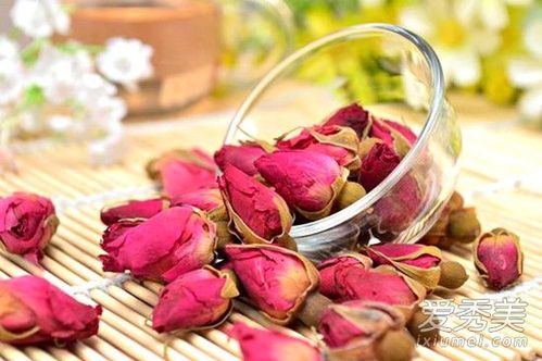 玫瑰花长满小虫子，该怎么办呢？