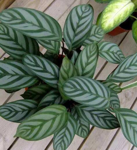 4. 保存温度， 一定要适宜