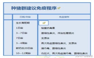 猪场设计图解与成本预算指南