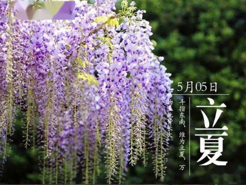 倒春寒？不怕！