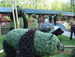 园艺品种的多样性