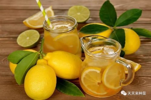 丰邦哥弟超锄芋头魔芋木薯苗后田地专用除草剂